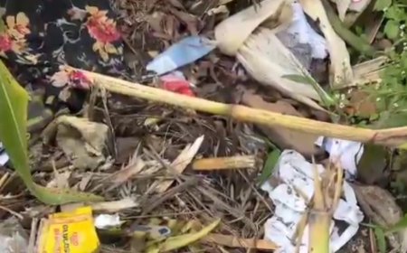 Musanze: Babangamiwe n’abitwikira ijoro bakamena imyanda mu mirima